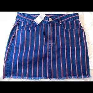 Striped American Eagle Skirt